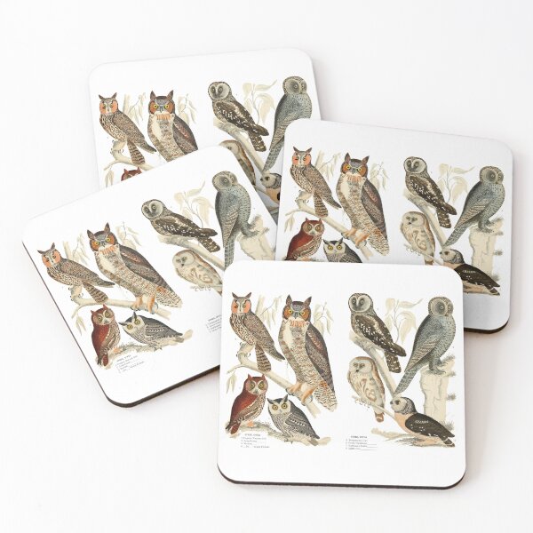 Item preview, Owl Species - Vintage Print designed and sold by ArtShare.