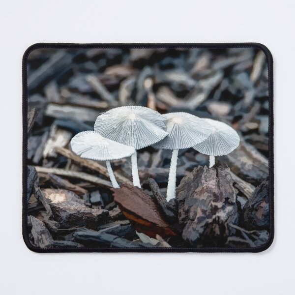 Item preview, Four White Parasol Mushrooms designed and sold by Debra Martz.
