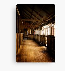 out on the board... Canvas Print