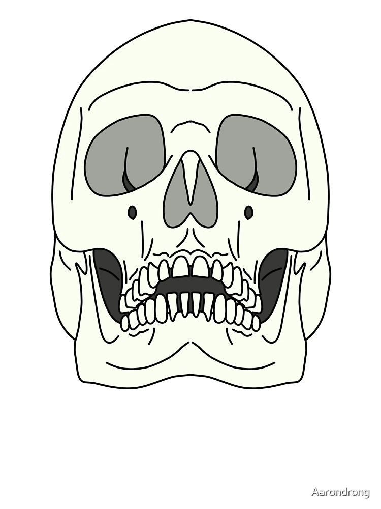 White Skull Drawing 2