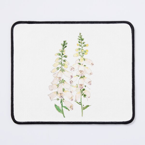 Item preview, hand painted 2 white foxgloves flowers blossom ink and watercolor designed and sold by ColorandColor.