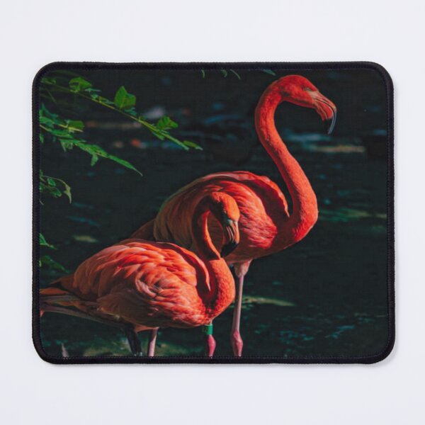 Item preview, Cute Pink Flamingos designed and sold by lets-travel.