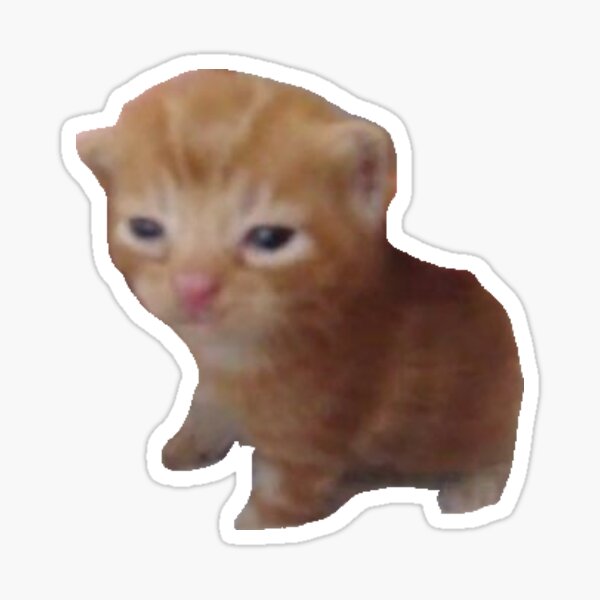 Item preview, cat meme designed and sold by Samipuppy13-.
