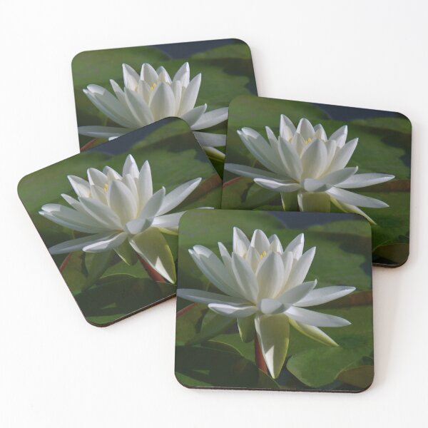 Item preview, White Pond Lily designed and sold by Poete100.