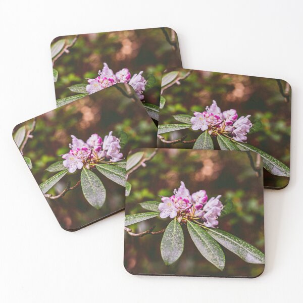 Item preview, Sunrise flower designed and sold by Selena  Canup.