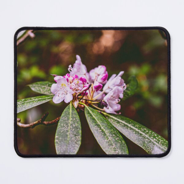 Item preview, Sunrise flower designed and sold by Selena Canup.