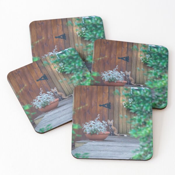 Item preview, Fox 2 designed and sold by FollowPhoto.