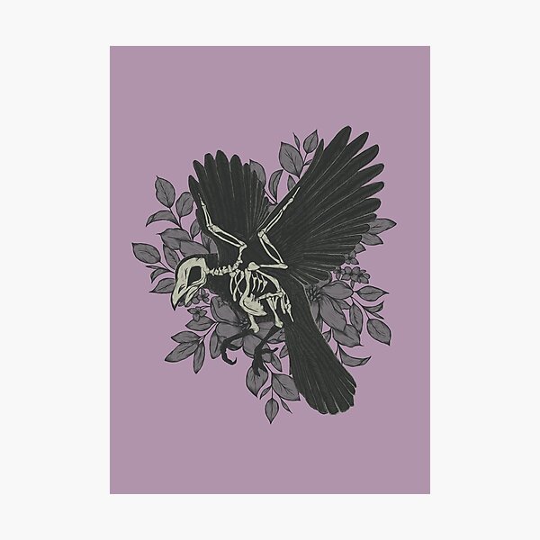Crow skeleton Photographic Print