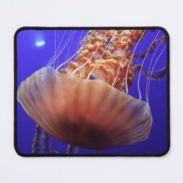 Item preview, Jellyfish Taking A Dive designed and sold by shirleyarment.