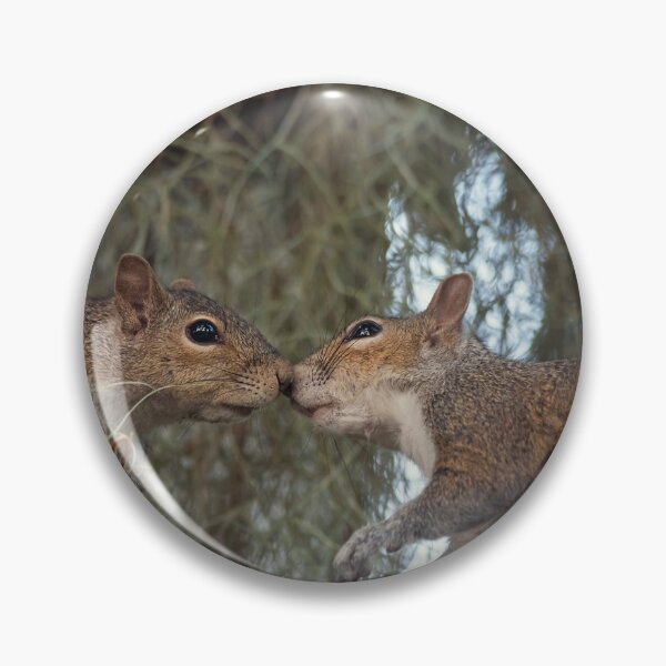 Item preview, Two Young Squirrels on the Tree designed and sold by svetlanna.