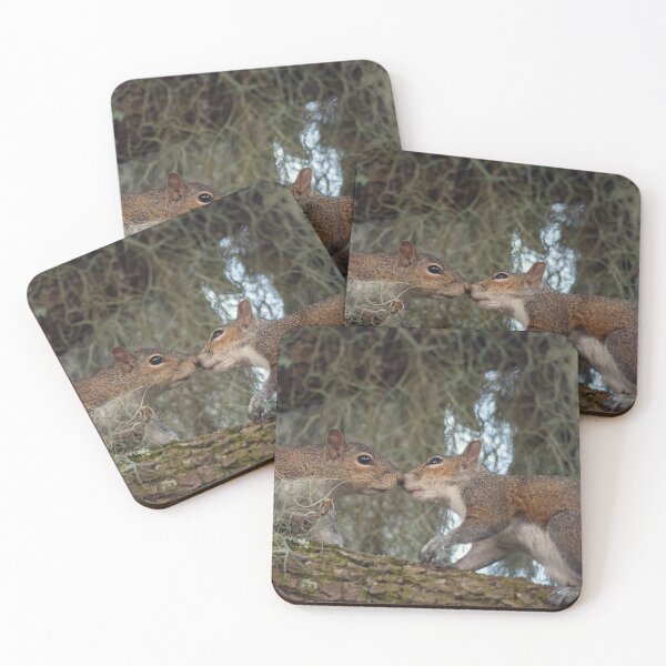 Item preview, Two Young Squirrels on the Tree designed and sold by svetlanna.