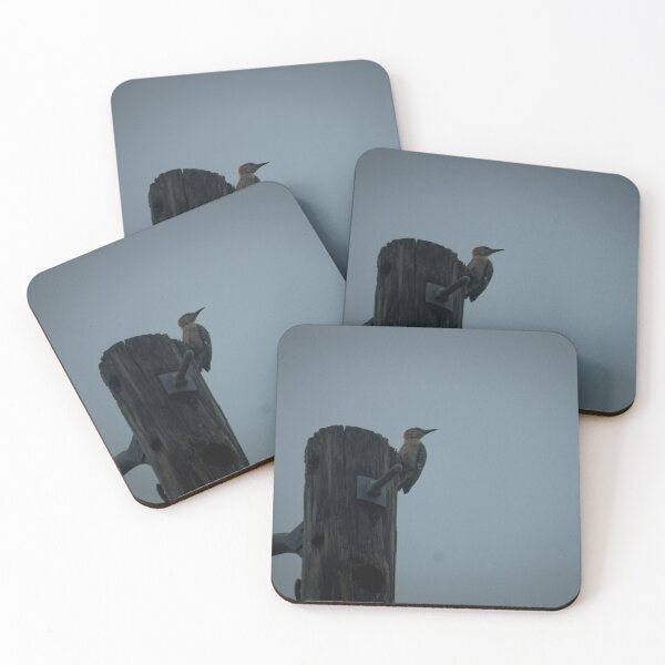 Item preview, hll woodpecker designed and sold by pcfyi.