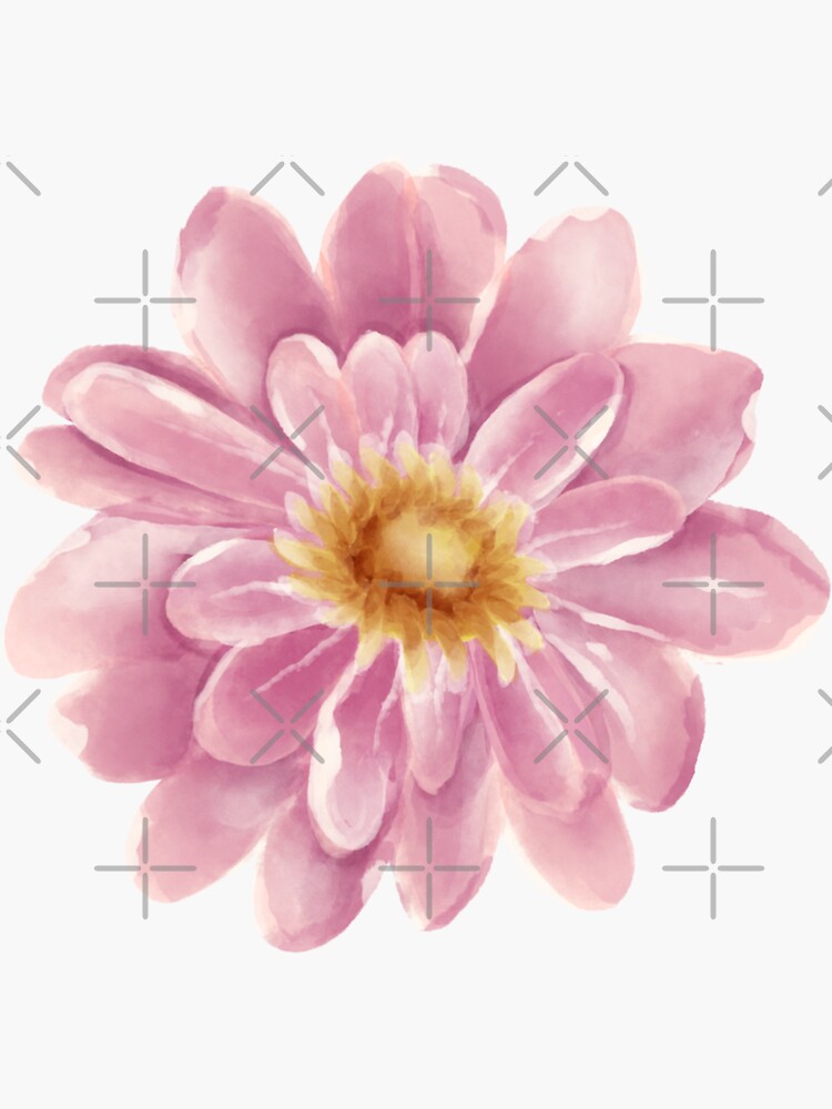 Pink Daisy Sticker –