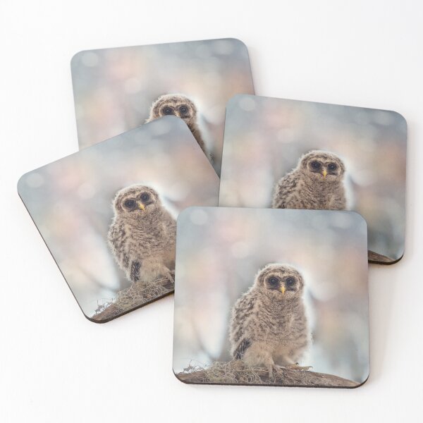 Item preview, Barred Owlet Perches on a Branch designed and sold by svetlanna.