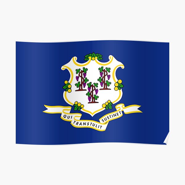 Flag of Connecticut Poster