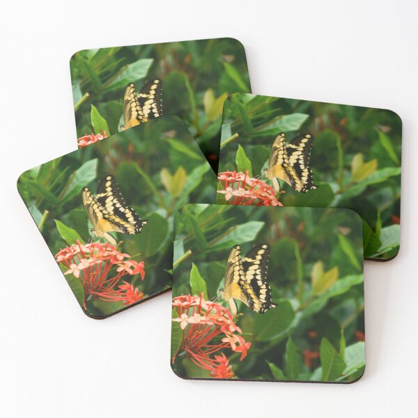 Item preview, Hll butterfly designed and sold by pcfyi.