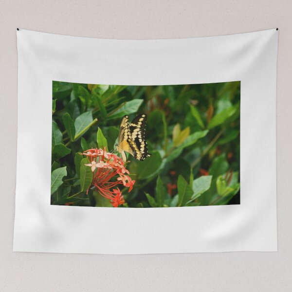 Item preview, Hll butterfly designed and sold by pcfyi.