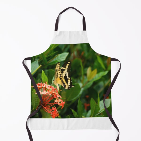 Item preview, Hll butterfly designed and sold by pcfyi.