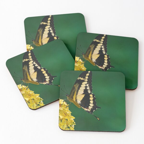 Item preview, hll butterfly black and yellow designed and sold by pcfyi.