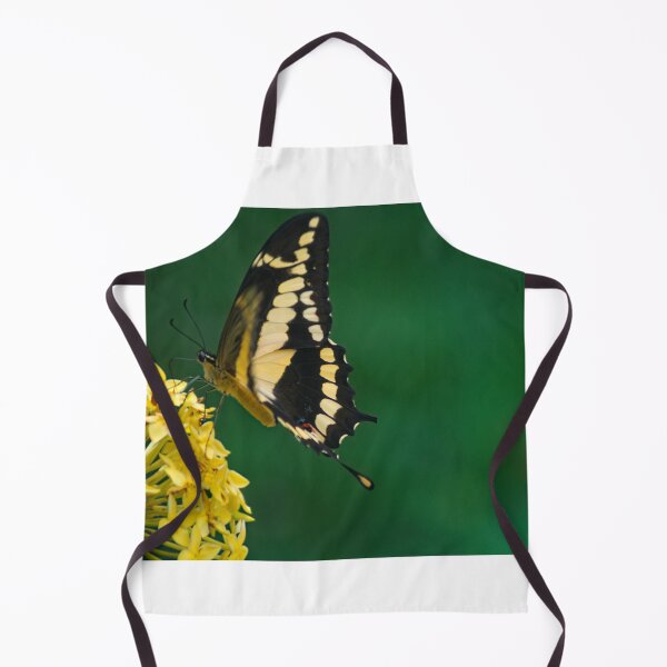 Item preview, hll butterfly black and yellow designed and sold by pcfyi.