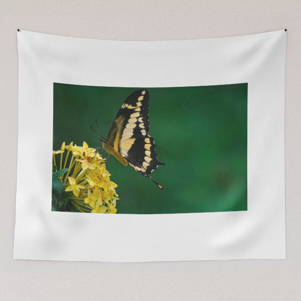 Item preview, hll butterfly black and yellow designed and sold by pcfyi.