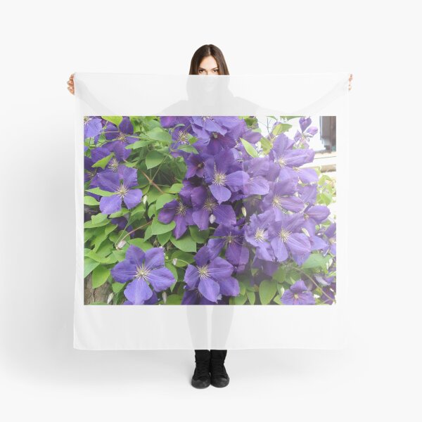 Item preview, Purple clematis designed and sold by Ana Belaj.