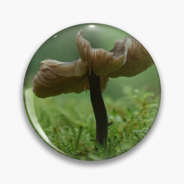 Aperçu de l'œuvre Un autre champignon créée et vendue par derangedstudent.