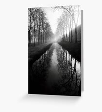 Film photography: Black and white morning Greeting Card