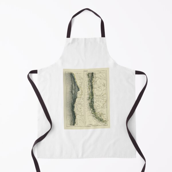 Item preview, 1892 Chile Relief Map 3D digitally-rendered designed and sold by ThinkAboutMaps.