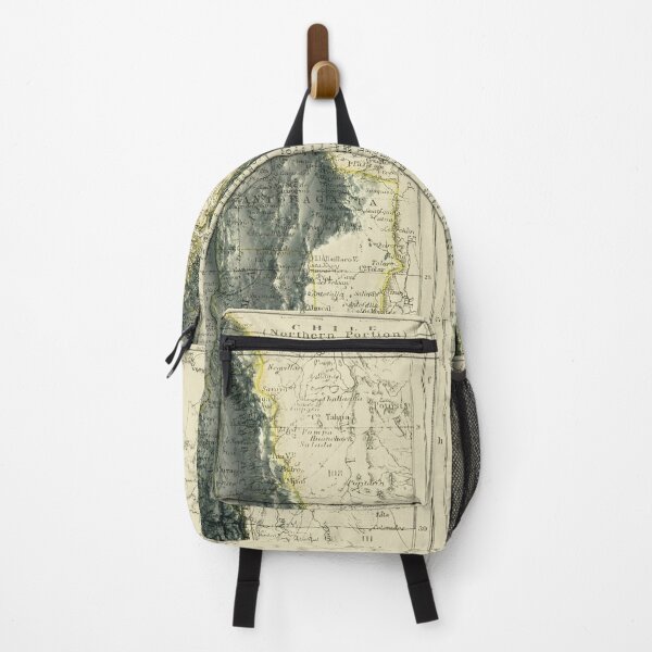 Item preview, 1892 Chile Relief Map 3D digitally-rendered designed and sold by ThinkAboutMaps.