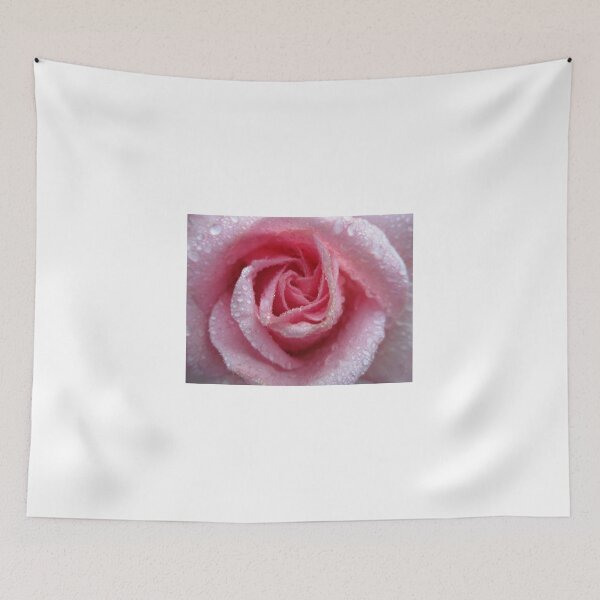 Artikelvorschau, Regen bedeckte Rose entworfen und verkauft von SunnyImage.