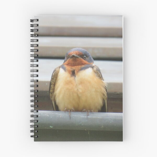 Item preview, Barn Swallow designed and sold by BeachyBird.
