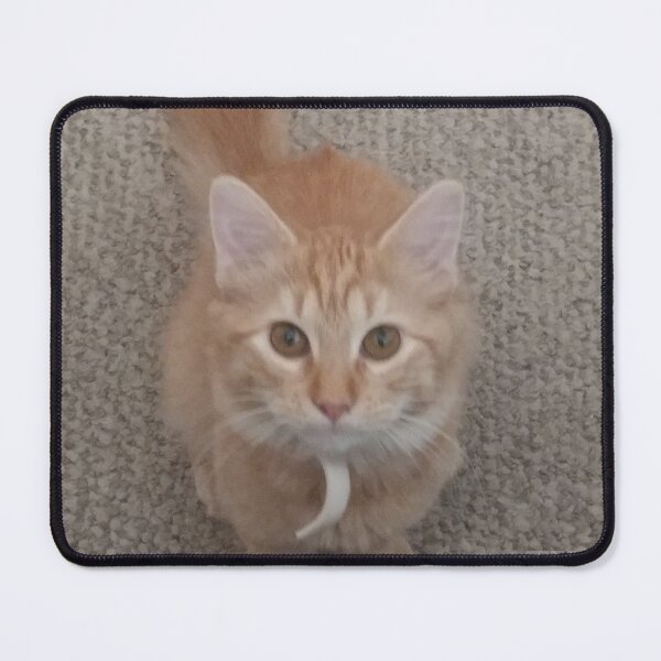 Item preview, Hungry kitty eyes designed and sold by Spicylady00.