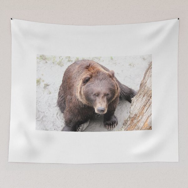 Item preview, Got Bear? designed and sold by SunnyImage.