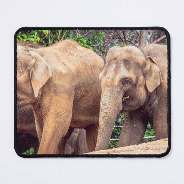 Item preview, Dirty Brown Elephants designed and sold by Steven Jodoin.