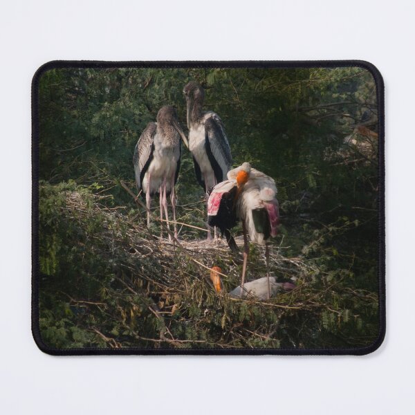 Item preview, Painted Storks around a nest in Delhi Zoo designed and sold by ashishagarwal74.