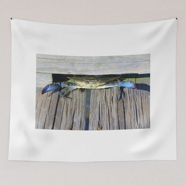 Aperçu de l'œuvre Crabe Backdown créée et vendue par SunnyImage.