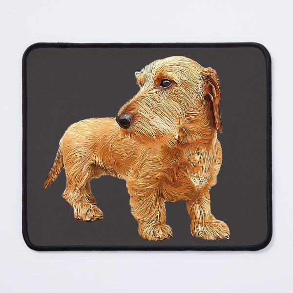 Item preview, Dachshund Wire Haired Red Beauty! designed and sold by ElegantCat.