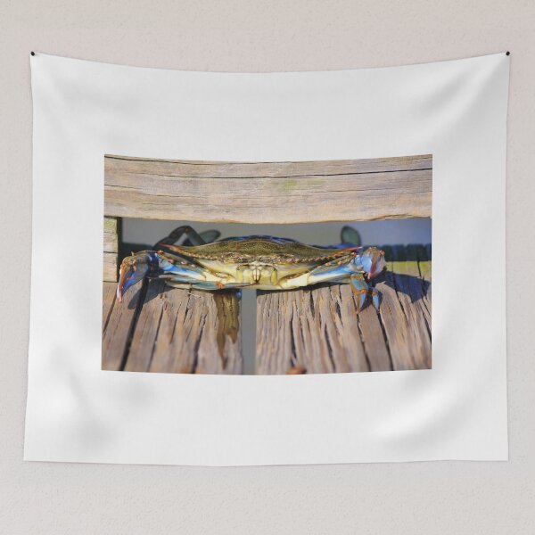 Item preview, Peek-A-Boo Crab designed and sold by SunnyImage.