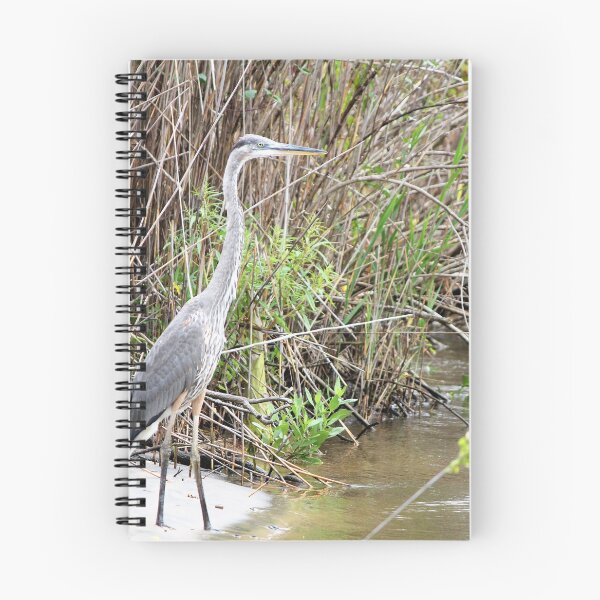 Item preview, Blue Heron designed and sold by SunnyImage.