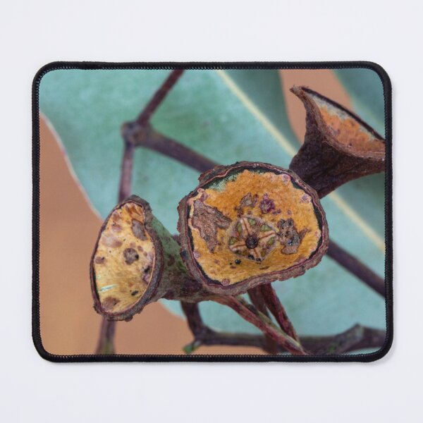 Item preview, Red Flowering Gumnut Close Up designed and sold by suziq1962.