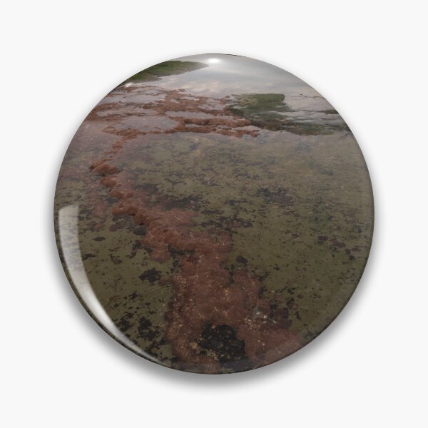 Item preview, Pink Algae on Green Rocks at Bateau Bay Beach NSW Central Coast of Australia designed and sold by suziq1962.