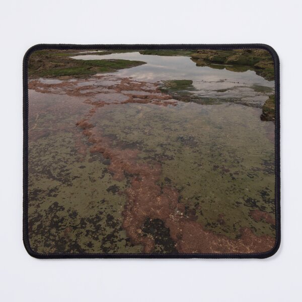 Item preview, Pink Algae on Green Rocks at Bateau Bay Beach NSW Central Coast of Australia designed and sold by suziq1962.