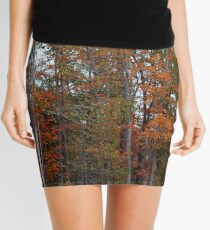 Colorful Cuyahoga Mini Skirt