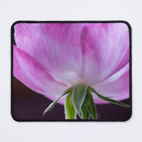 Item preview, Underside of Blue Moon Rose designed and sold by suziq1962.