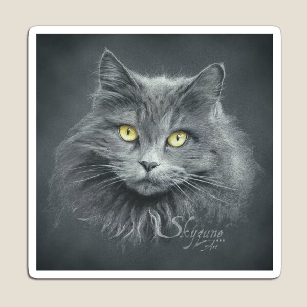GOLDEN EYES by Skyzune ART Magnet