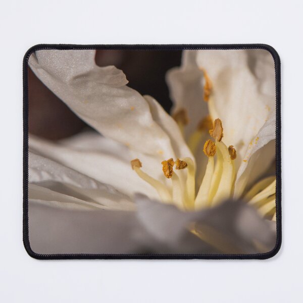 Item preview, Inside the Camellia designed and sold by suziq1962.