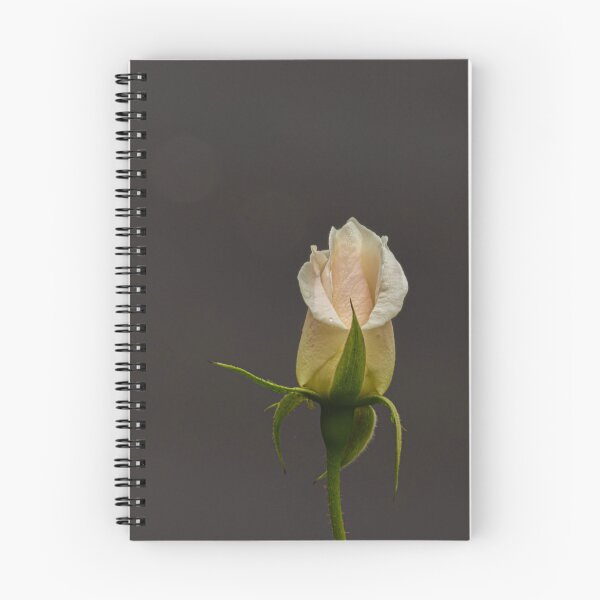 Item preview, Solo Rose designed and sold by suziq1962.