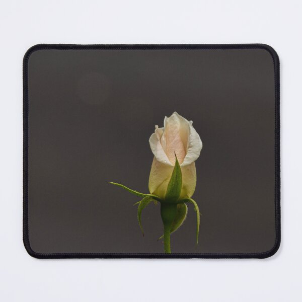 Item preview, Solo Rose designed and sold by suziq1962.