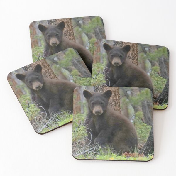 Item preview, Colorado Baby Black Bear designed and sold by Betsy Seeton.
